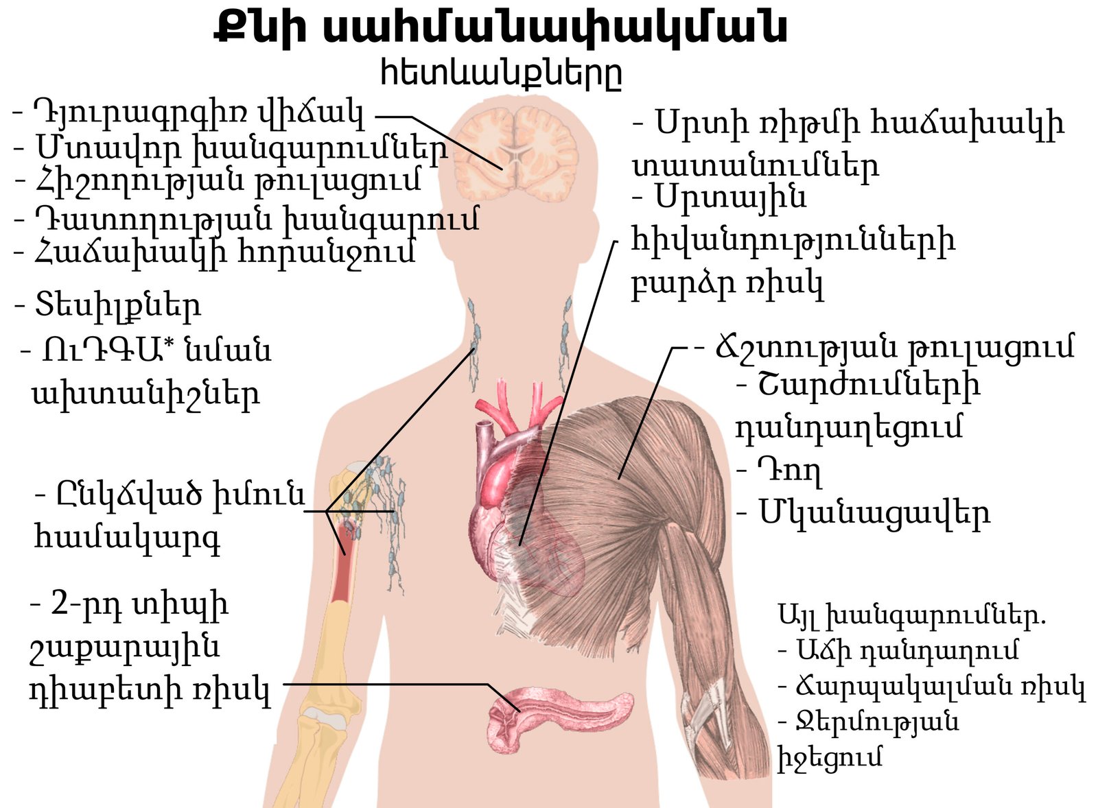 ما هي الساعة البيولوجية وكيف تؤثر قلة النوم على الهرمونات - آثار قلة النوم
